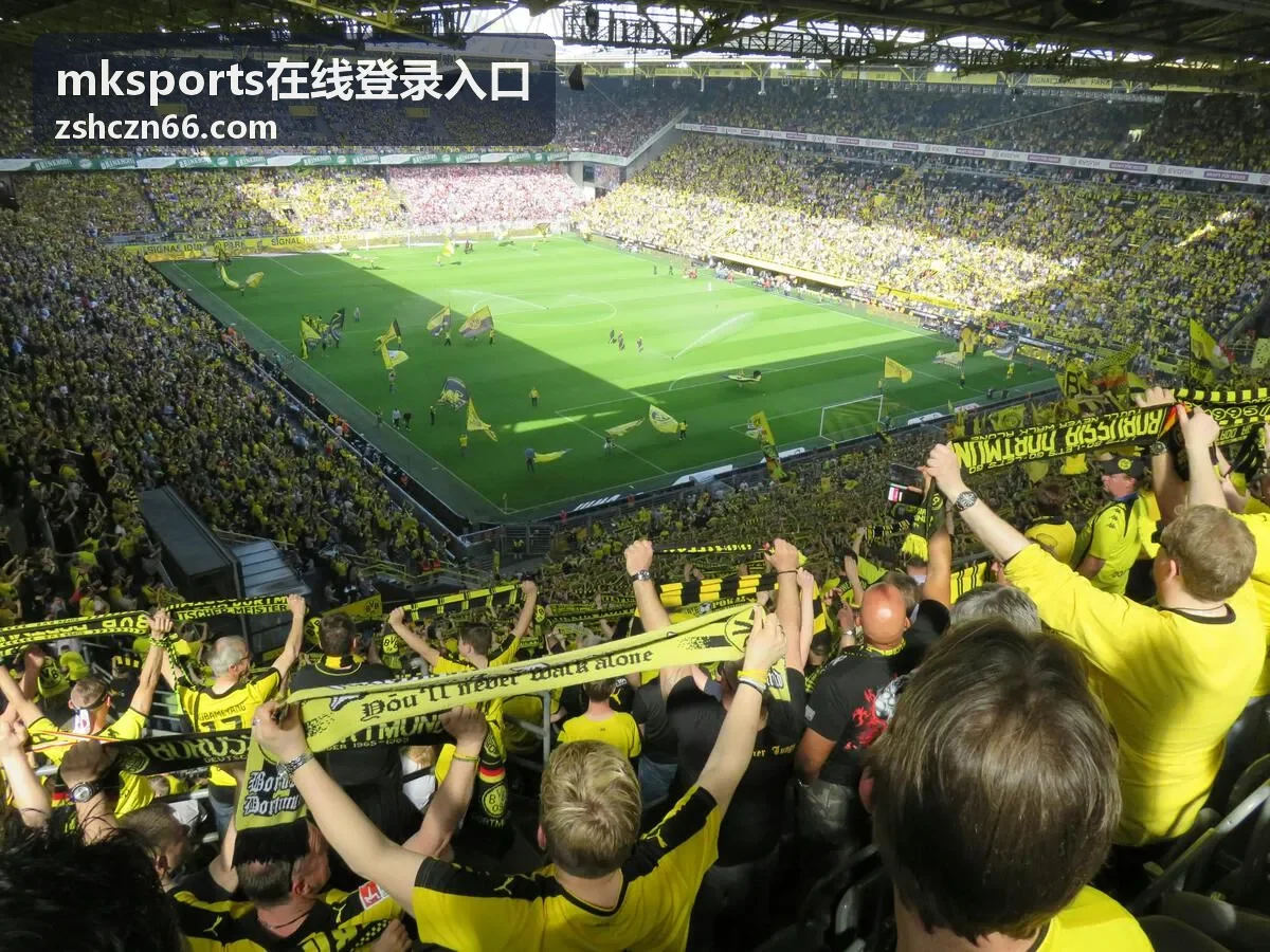 mksports会员专属 数据看板